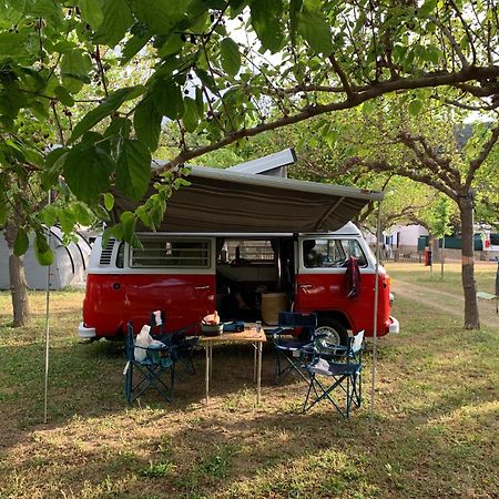 Retro Vw Kombi T2 Campervan 略夫雷加特河畔奥斯皮塔莱特 外观 照片